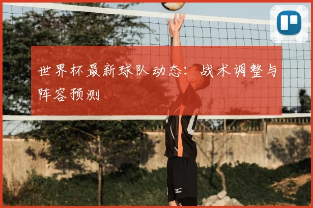 世界杯最新球队动态：战术调整与阵容预测