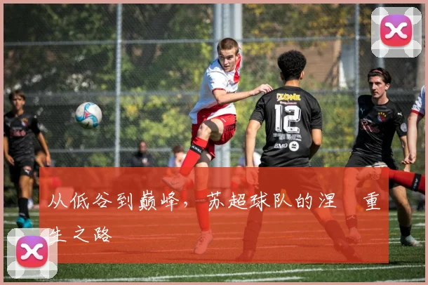 从低谷到巅峰，苏超球队的涅槃重生之路